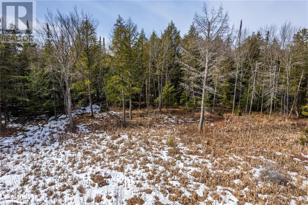 Part Lot 4, Muskoka Lakes, Ontario  P0B 1M0 - Photo 17 - X10436402