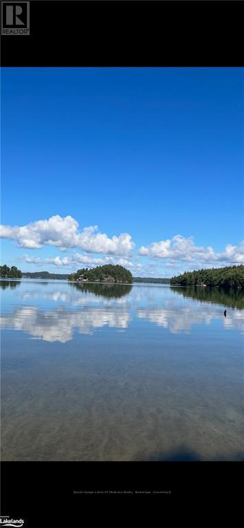 Part Lot 4, Muskoka Lakes, Ontario  P0B 1M0 - Photo 19 - X10436402