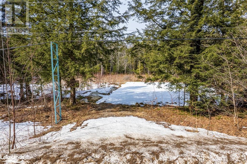 Part Lot 4, Muskoka Lakes, Ontario  P0B 1M0 - Photo 4 - X10436402