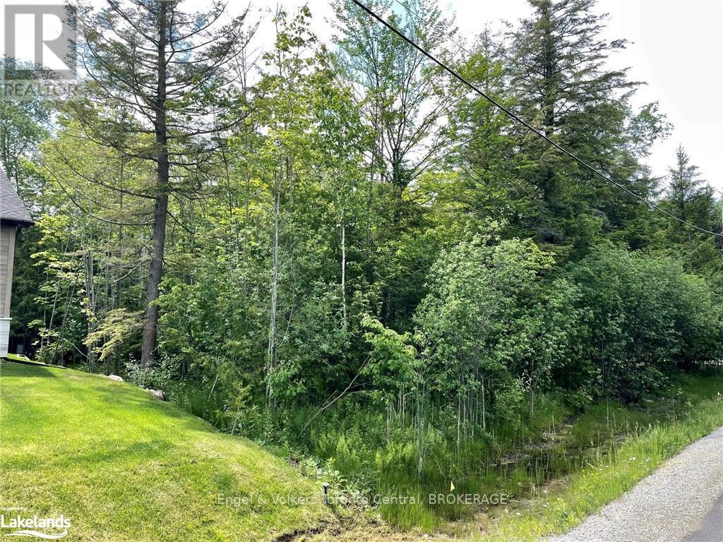 Lot 454 Seguin Crescent, Tiny, Ontario  L9M 0C9 - Photo 3 - S10437560
