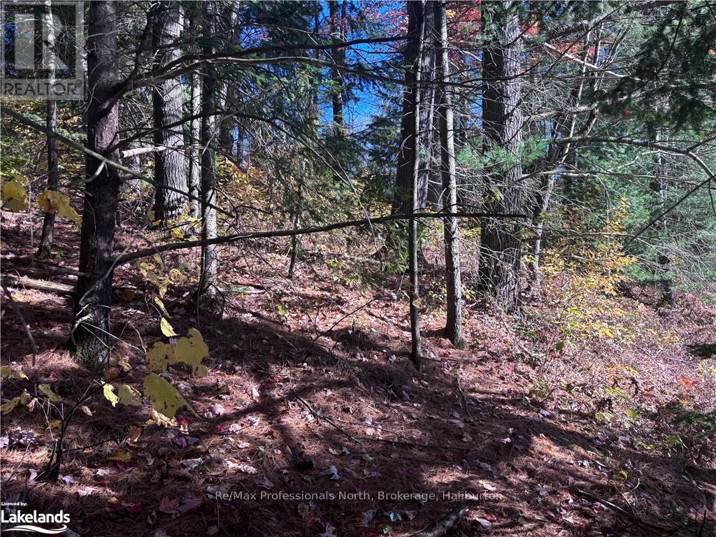 Lot 5 N/a, Algonquin Highlands, Ontario  K0M 1J2 - Photo 11 - X10436451