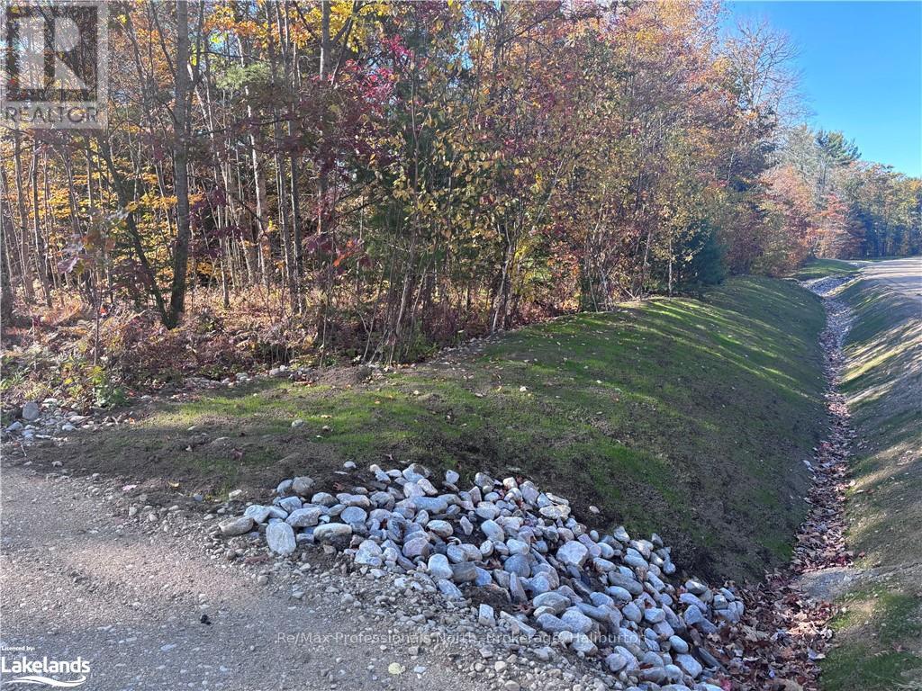 Lot 5 N/a, Algonquin Highlands, Ontario  K0M 1J2 - Photo 6 - X10436451