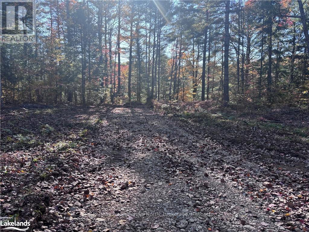 Lot 5 N/a, Algonquin Highlands, Ontario  K0M 1J2 - Photo 8 - X10436451
