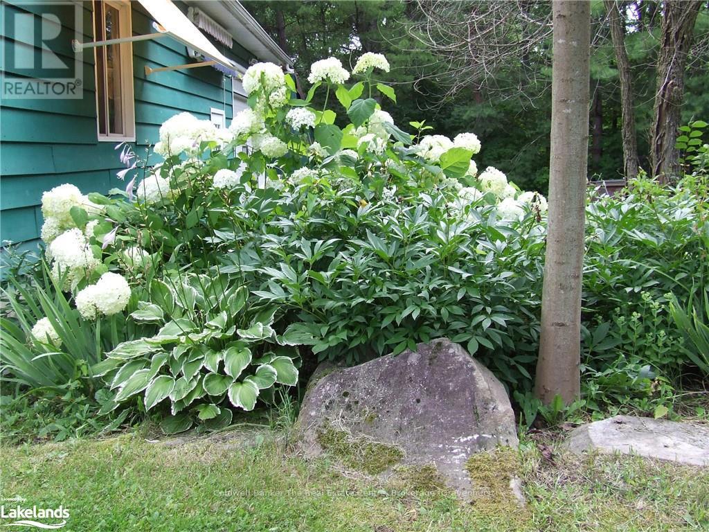 1670 Windermere Road, Muskoka Lakes, Ontario  P0B 1M0 - Photo 32 - X10436540