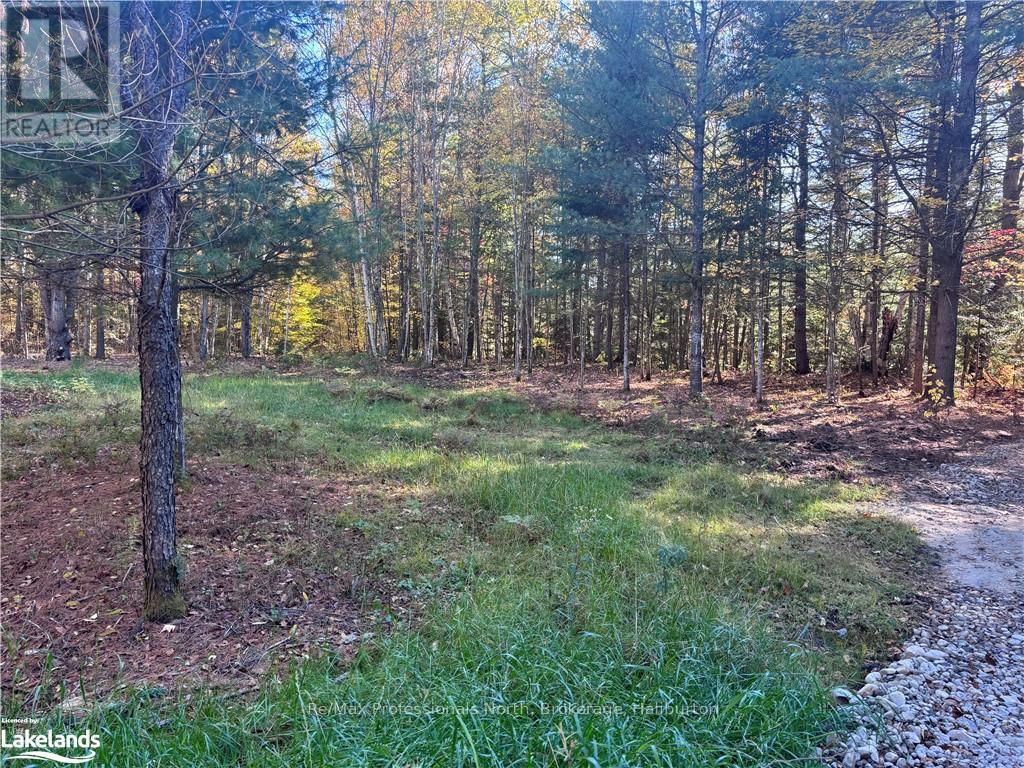 Lot 1, Algonquin Highlands (Stanhope), Ontario  K0M 1J2 - Photo 7 - X10436562
