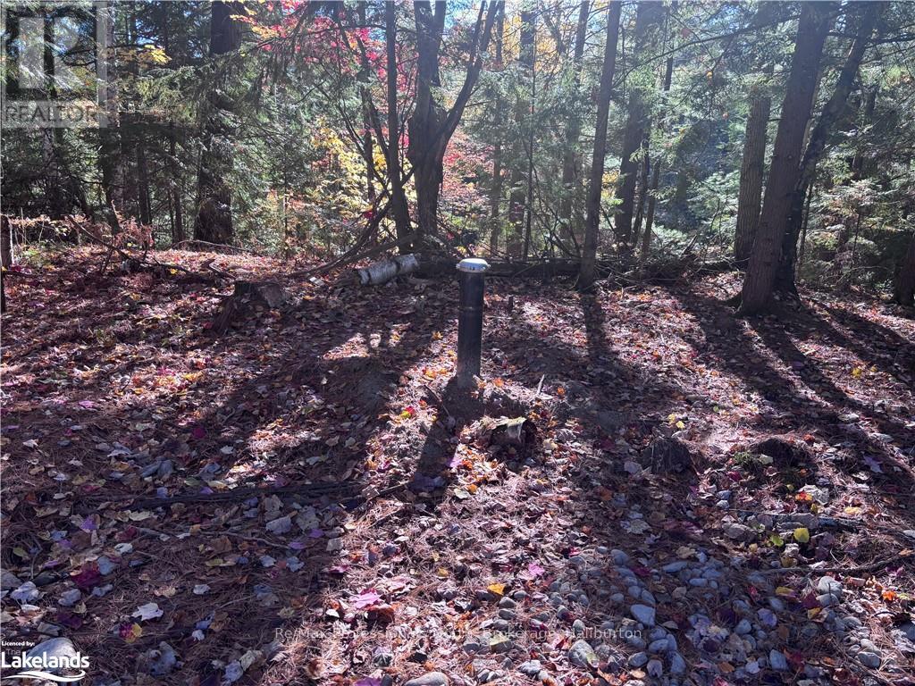 Lot 1, Algonquin Highlands (Stanhope), Ontario  K0M 1J2 - Photo 8 - X10436562