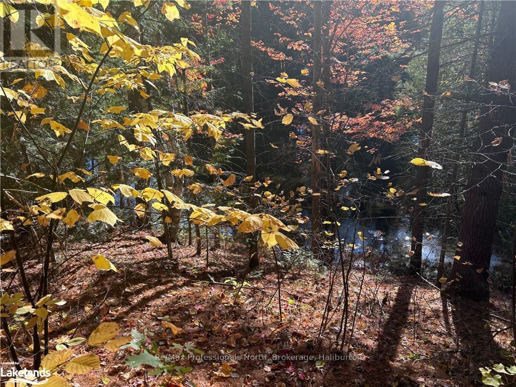 Lot 1, Algonquin Highlands (Stanhope), Ontario  K0M 1J2 - Photo 9 - X10436562