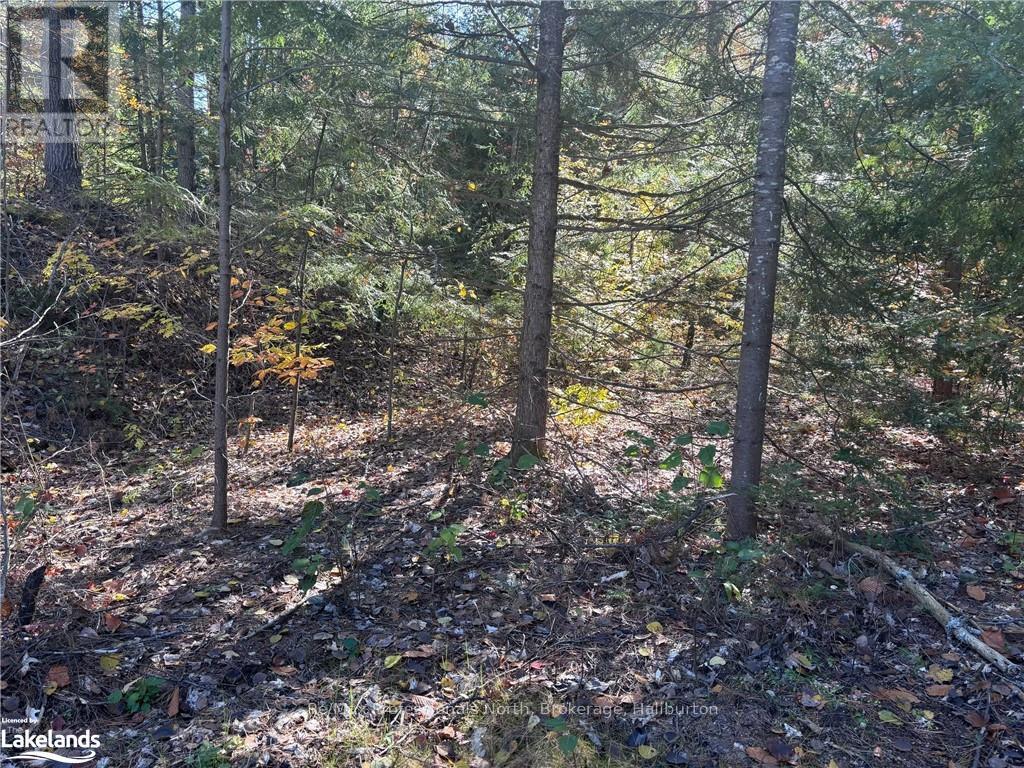 Lot 3 N/a, Algonquin Highlands, Ontario  K0M 1J2 - Photo 11 - X10436661