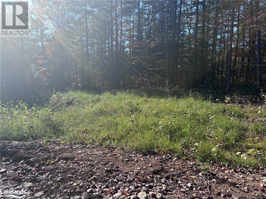 Lot 3 N/a, Algonquin Highlands, Ontario  K0M 1J2 - Photo 7 - X10436661