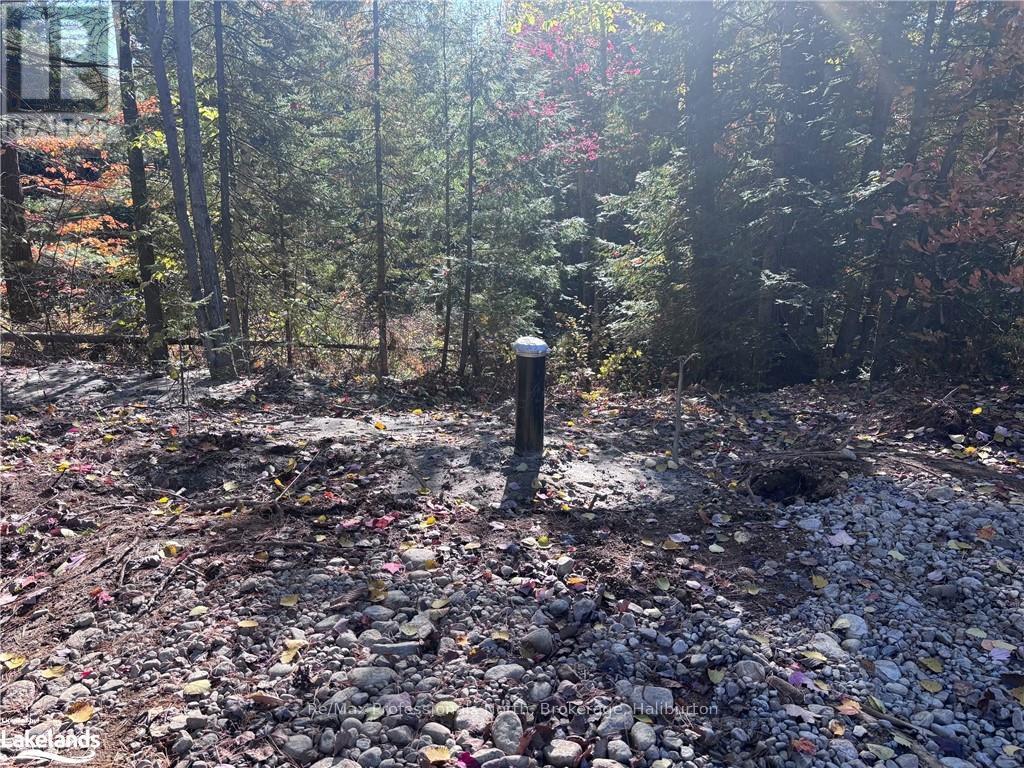 Lot 3 N/a, Algonquin Highlands, Ontario  K0M 1J2 - Photo 8 - X10436661