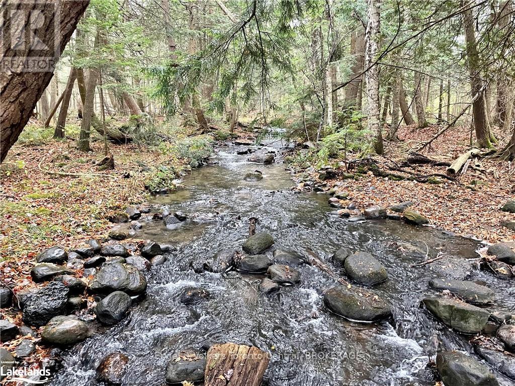 Lot 454 Seguin Crescent, Tiny, Ontario  L9M 0C9 - Photo 10 - S10437560