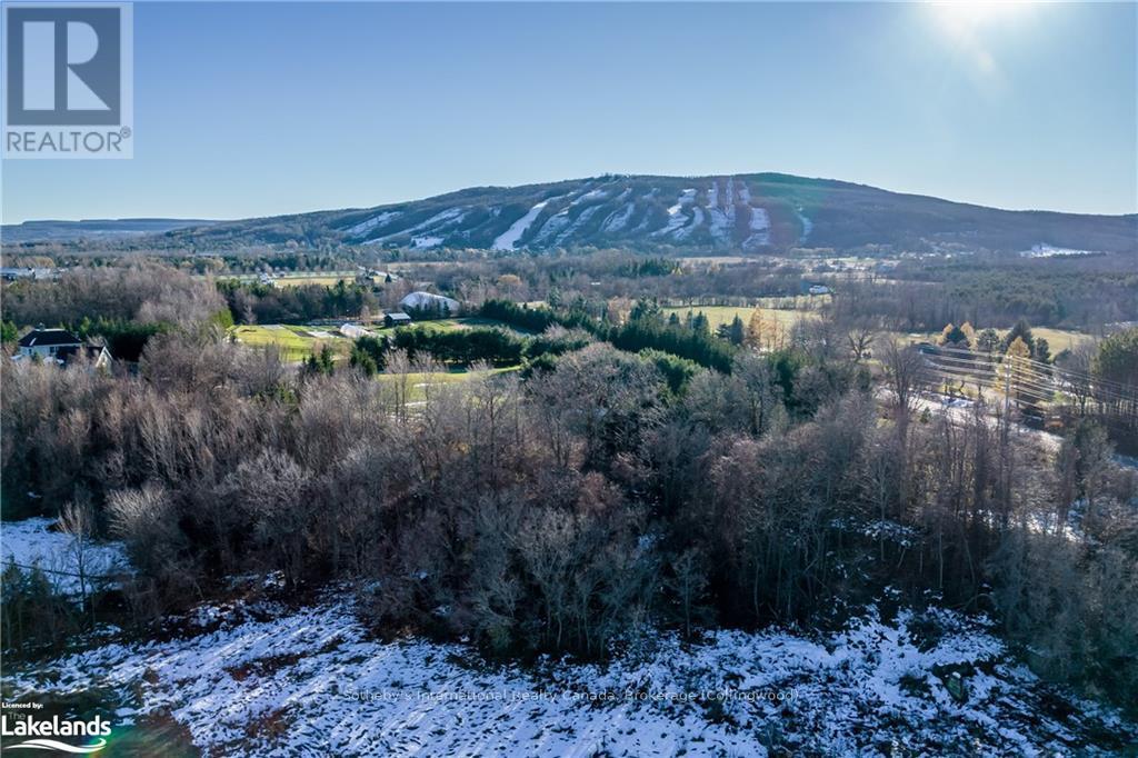 19 Raintree Court, Clearview, Ontario  L9Y 0K2 - Photo 7 - S10895016