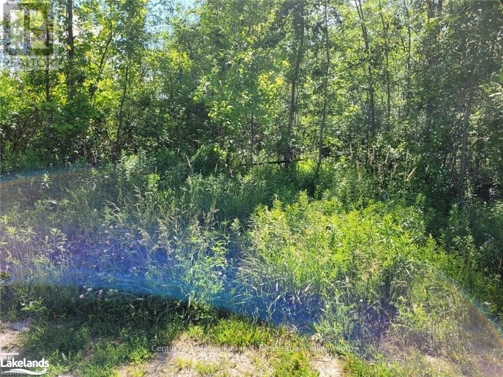 11325 HIGHWAY 26, Collingwood, Ontario