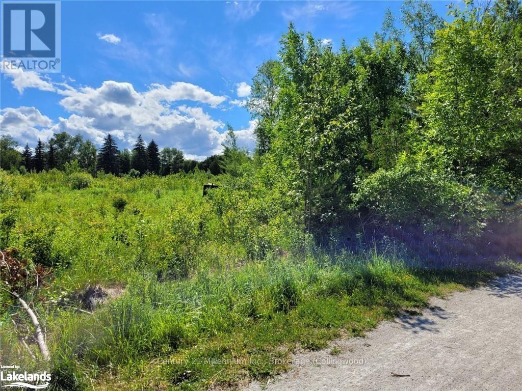 11325 Highway 26, Collingwood, Ontario  L8Y 5H8 - Photo 3 - S10437262
