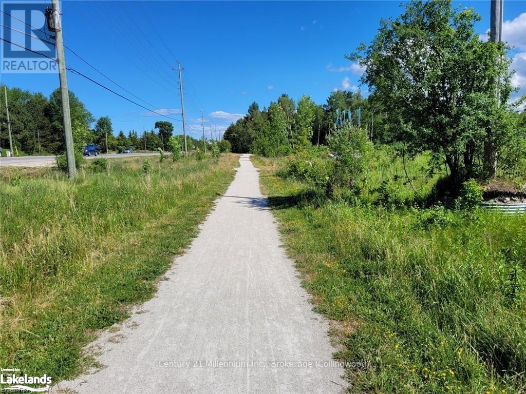 11325 Highway 26, Collingwood, Ontario  L8Y 5H8 - Photo 7 - S10437262