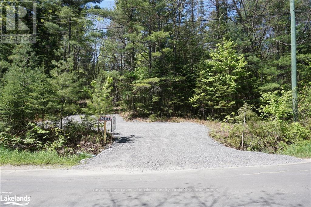 Lot 1 Fairy Falls Road, Lake Of Bays, Ontario  P0B 1A0 - Photo 2 - X10436943