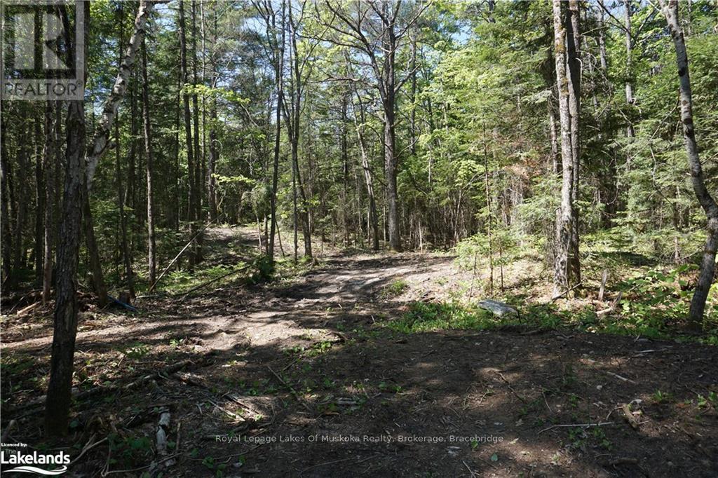 Lot 1 Fairy Falls Road, Lake Of Bays, Ontario  P0B 1A0 - Photo 4 - X10436943