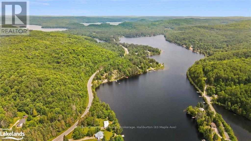 4 - 2289 Loop Road, Highlands East, Ontario  K0L 3C0 - Photo 22 - X10436947