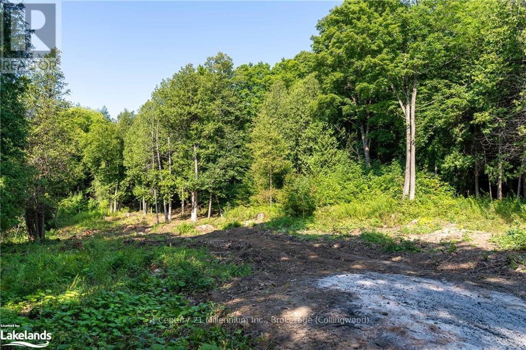 3 Pretty River Road, Blue Mountains, Ontario  L0M 1P0 - Photo 10 - X10436977