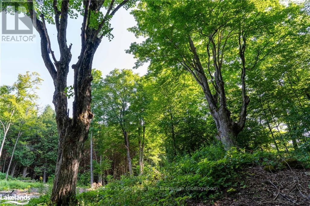 3 Pretty River Road, Blue Mountains, Ontario  L0M 1P0 - Photo 11 - X10436977