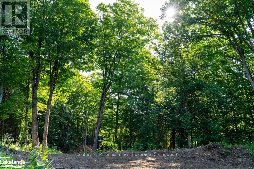 3 Pretty River Road, Blue Mountains, Ontario  L0M 1P0 - Photo 12 - X10436977