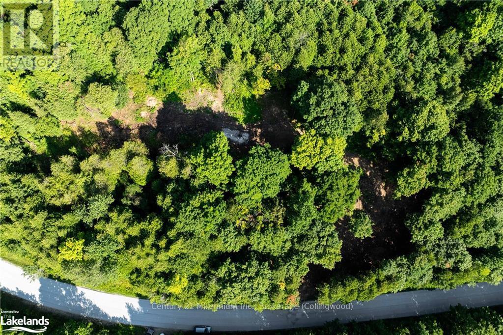 3 Pretty River Road, Blue Mountains, Ontario  L0M 1P0 - Photo 13 - X10436977