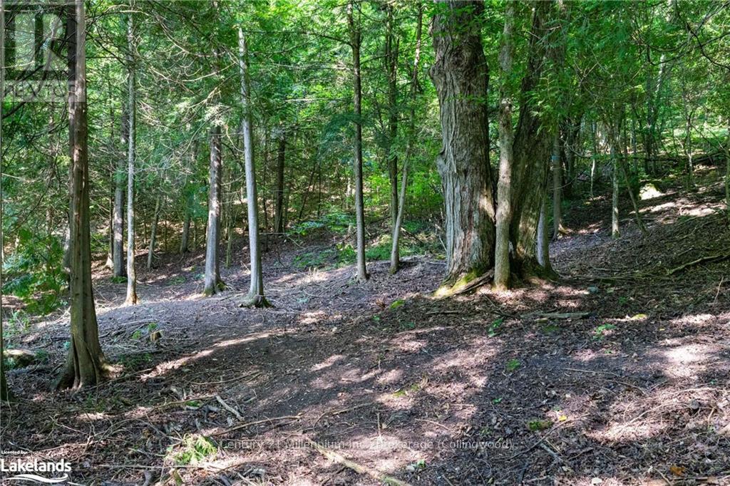 3 Pretty River Road, Blue Mountains, Ontario  L0M 1P0 - Photo 14 - X10436977