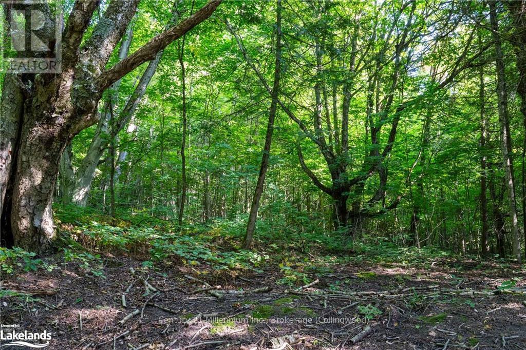 3 Pretty River Road, Blue Mountains, Ontario  L0M 1P0 - Photo 15 - X10436977