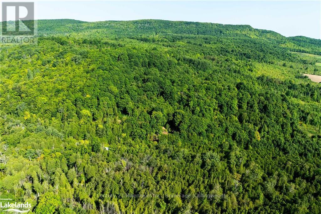 3 Pretty River Road, Blue Mountains, Ontario  L0M 1P0 - Photo 16 - X10436977