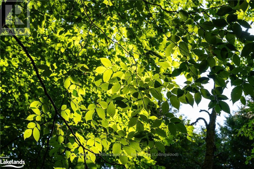 3 Pretty River Road, Blue Mountains, Ontario  L0M 1P0 - Photo 17 - X10436977