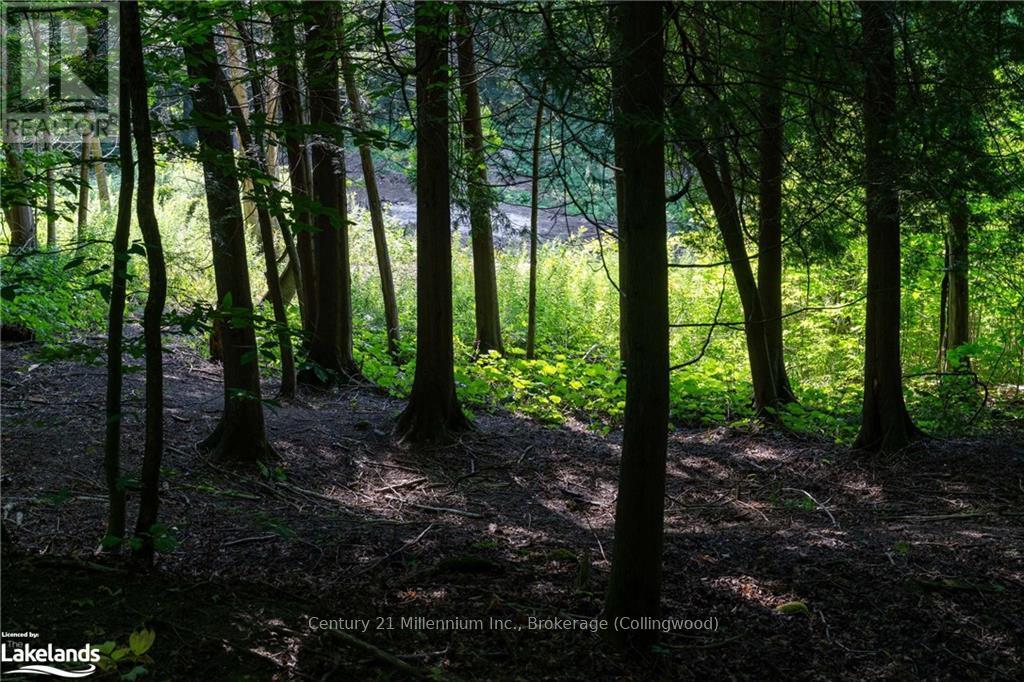 3 Pretty River Road, Blue Mountains, Ontario  L0M 1P0 - Photo 18 - X10436977
