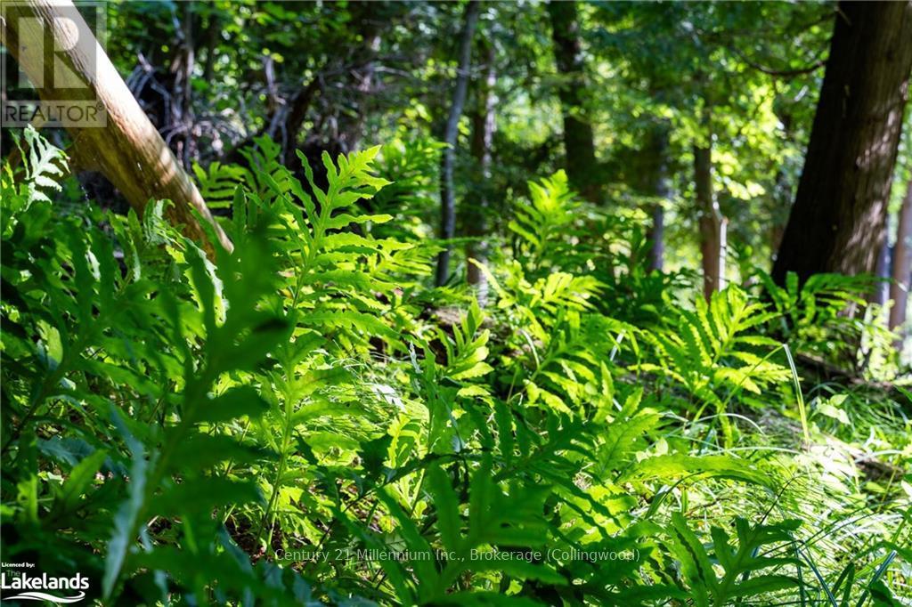 3 Pretty River Road, Blue Mountains, Ontario  L0M 1P0 - Photo 20 - X10436977
