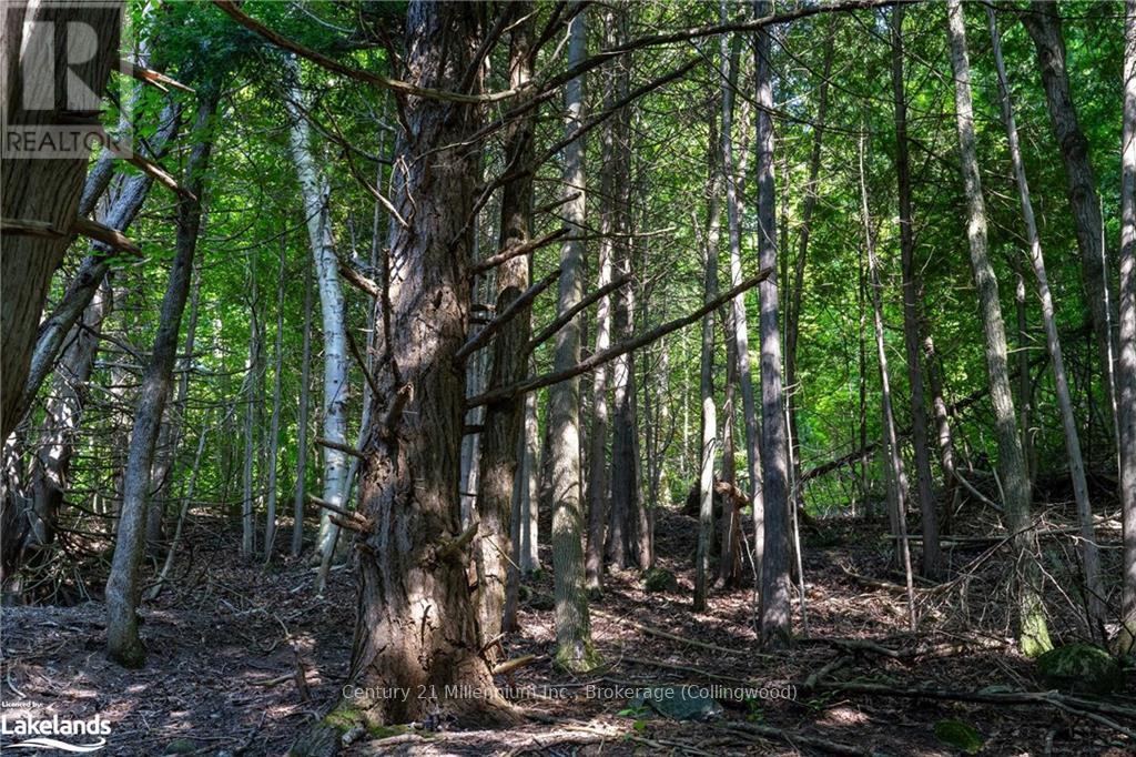 3 Pretty River Road, Blue Mountains, Ontario  L0M 1P0 - Photo 21 - X10436977