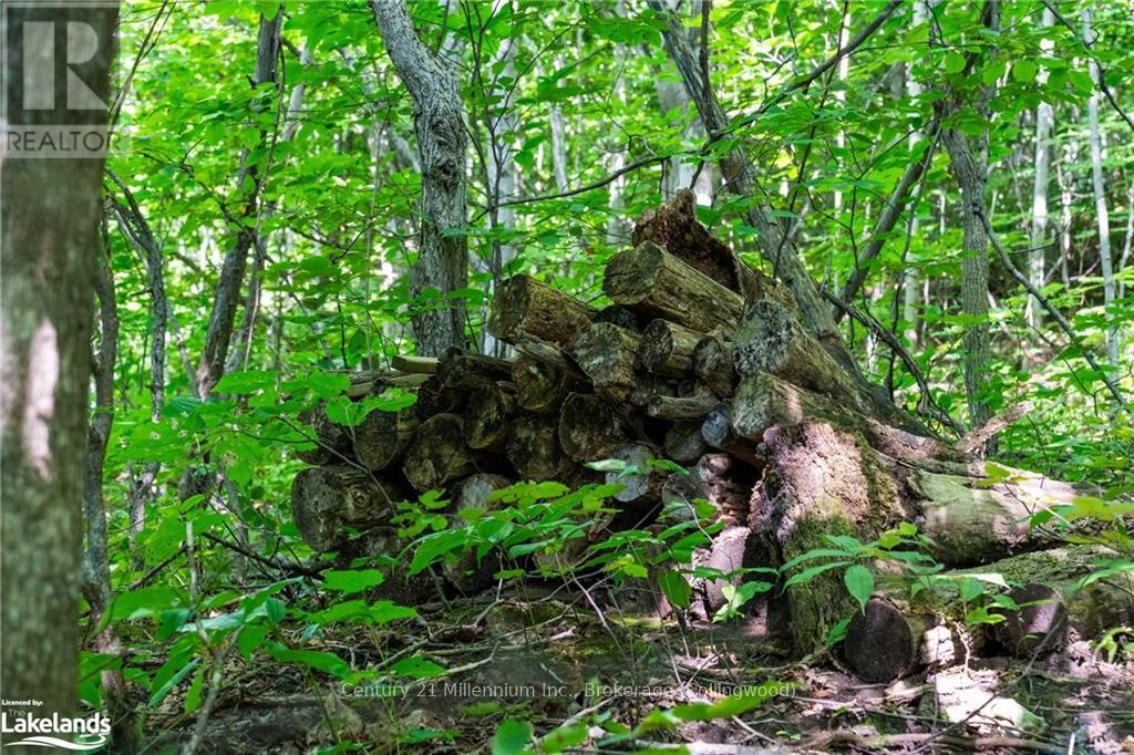 3 Pretty River Road, Blue Mountains, Ontario  L0M 1P0 - Photo 22 - X10436977