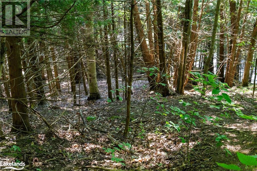 3 Pretty River Road, Blue Mountains, Ontario  L0M 1P0 - Photo 23 - X10436977