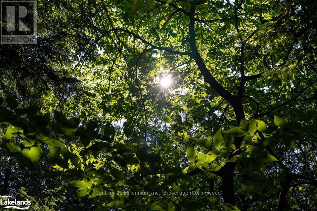 3 Pretty River Road, Blue Mountains, Ontario  L0M 1P0 - Photo 24 - X10436977
