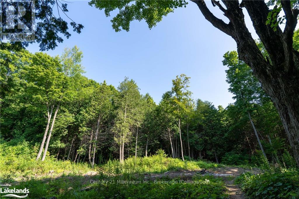 3 Pretty River Road, Blue Mountains, Ontario  L0M 1P0 - Photo 25 - X10436977