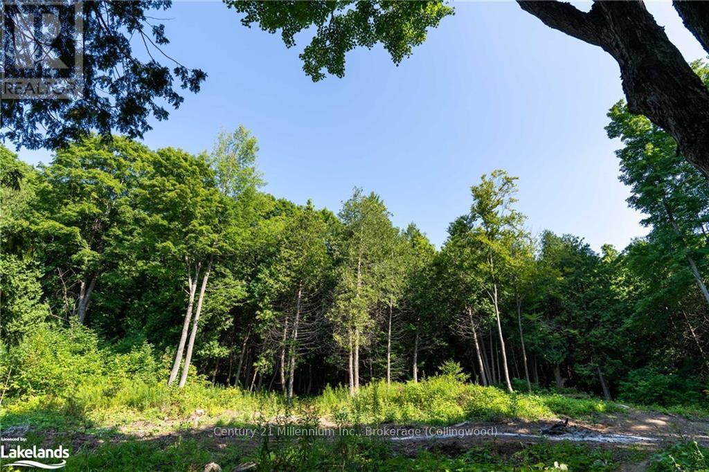3 Pretty River Road, Blue Mountains, Ontario  L0M 1P0 - Photo 27 - X10436977