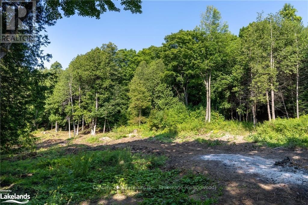 3 Pretty River Road, Blue Mountains, Ontario  L0M 1P0 - Photo 28 - X10436977