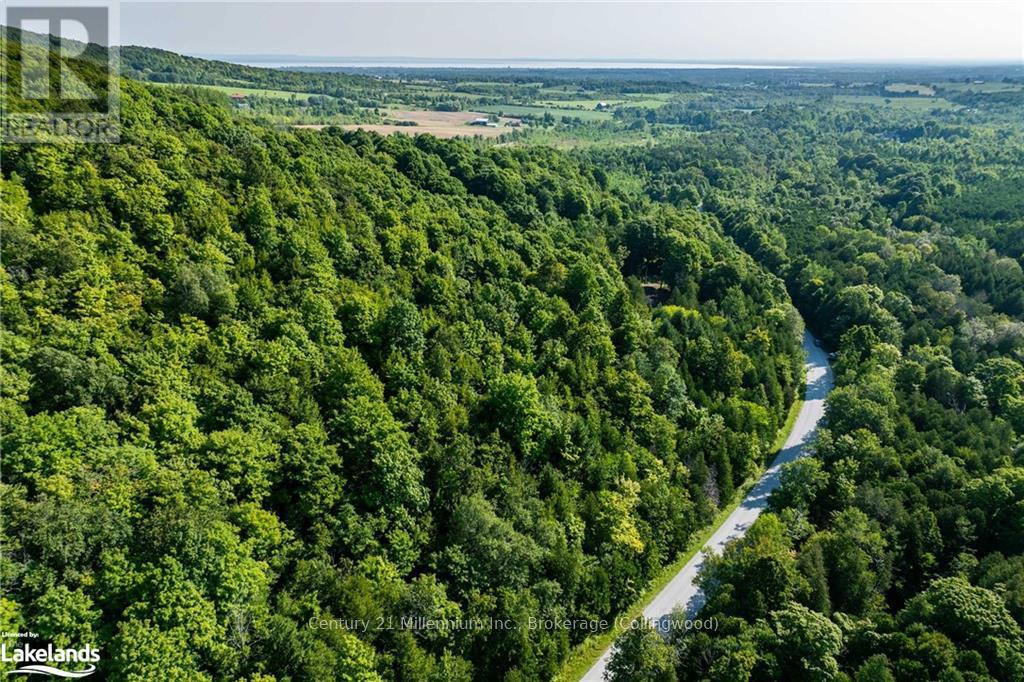 3 Pretty River Road, Blue Mountains, Ontario  L0M 1P0 - Photo 3 - X10436977