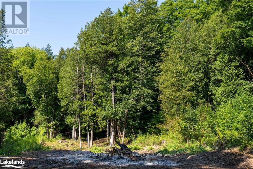 3 Pretty River Road, Blue Mountains, Ontario  L0M 1P0 - Photo 30 - X10436977