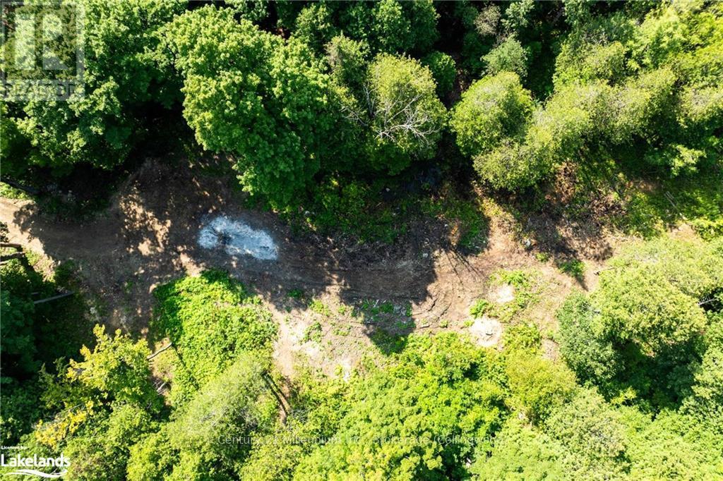 3 Pretty River Road, Blue Mountains, Ontario  L0M 1P0 - Photo 34 - X10436977