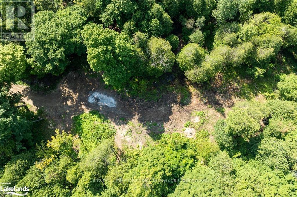 3 Pretty River Road, Blue Mountains, Ontario  L0M 1P0 - Photo 35 - X10436977