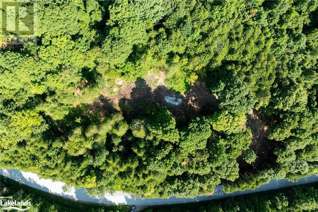 3 Pretty River Road, Blue Mountains, Ontario  L0M 1P0 - Photo 36 - X10436977