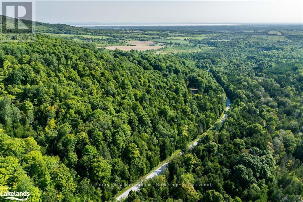 3 Pretty River Road, Blue Mountains, Ontario  L0M 1P0 - Photo 4 - X10436977