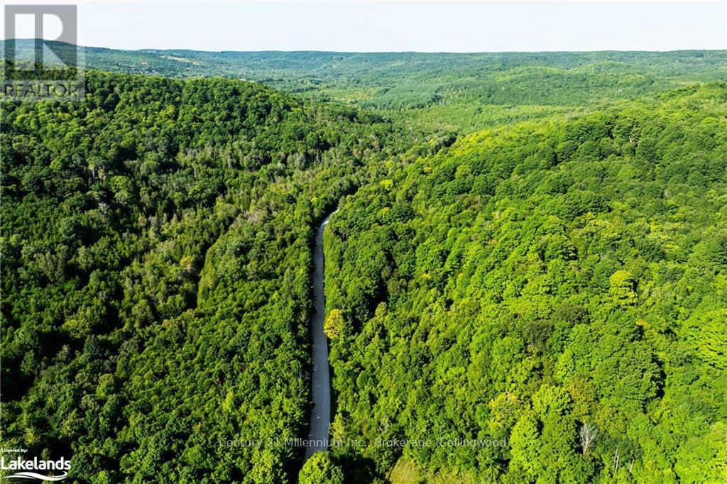 3 Pretty River Road, Blue Mountains, Ontario  L0M 1P0 - Photo 5 - X10436977