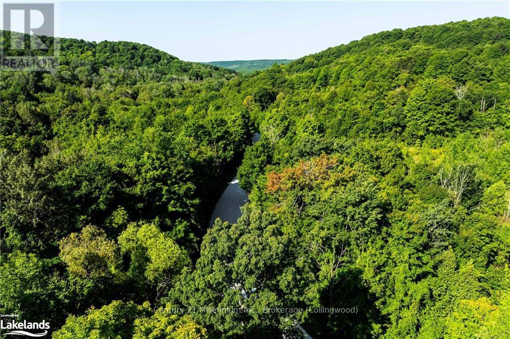 3 Pretty River Road, Blue Mountains, Ontario  L0M 1P0 - Photo 6 - X10436977