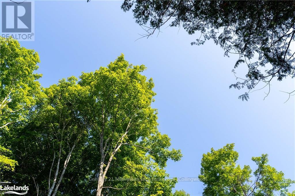 3 Pretty River Road, Blue Mountains, Ontario  L0M 1P0 - Photo 7 - X10436977