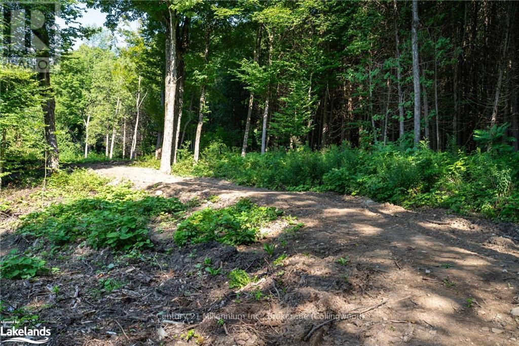 3 Pretty River Road, Blue Mountains, Ontario  L0M 1P0 - Photo 8 - X10436977