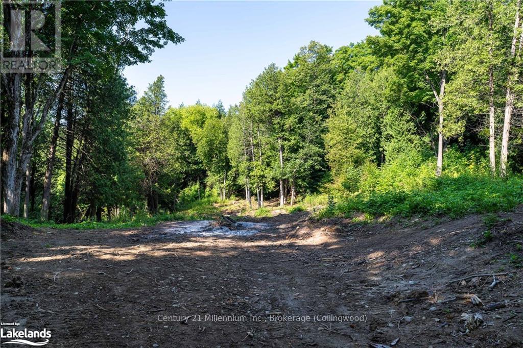 3 Pretty River Road, Blue Mountains, Ontario  L0M 1P0 - Photo 9 - X10436977